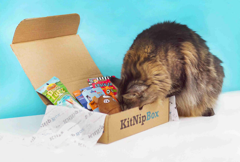 What's In A KitNipBox?