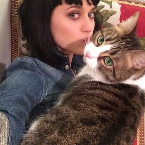 Cat Ladies: Katy Perry with her cat Kitty Purry