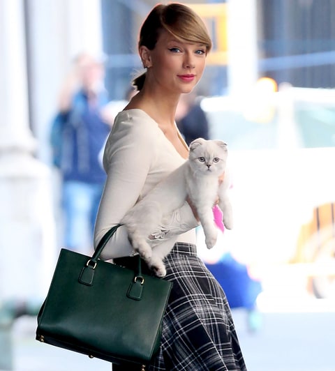 Cat Ladies: Taylor Swift with her hat Olivia Benson