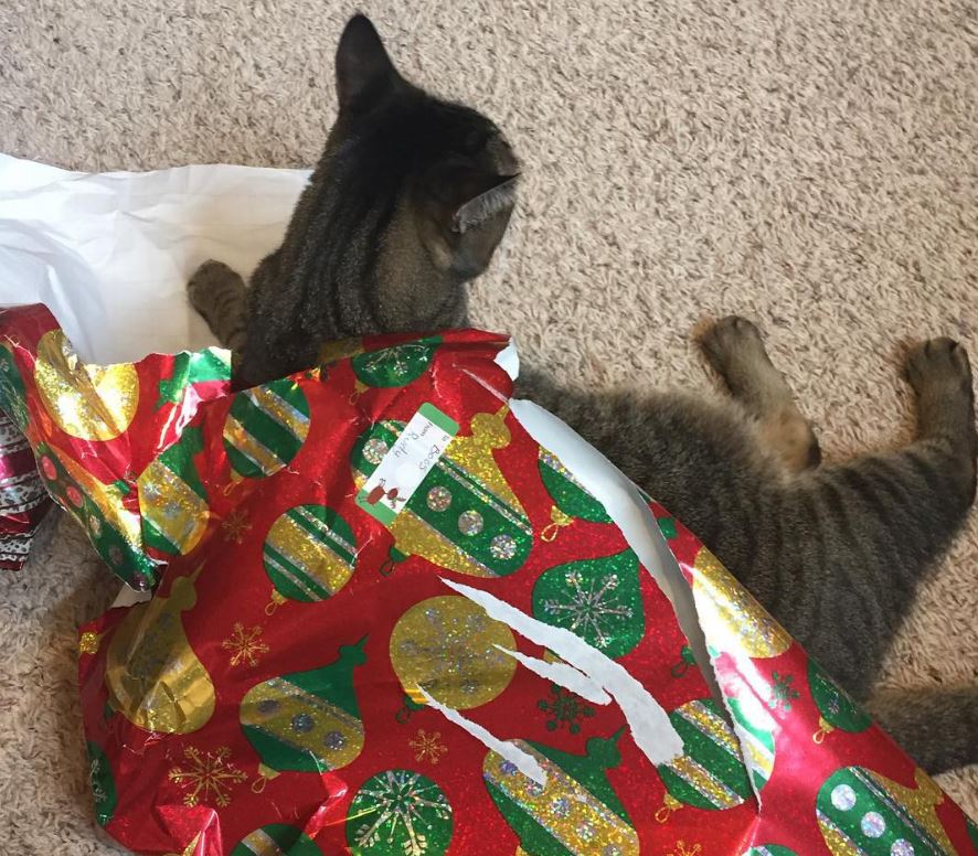 Catmas wrapping problems 2