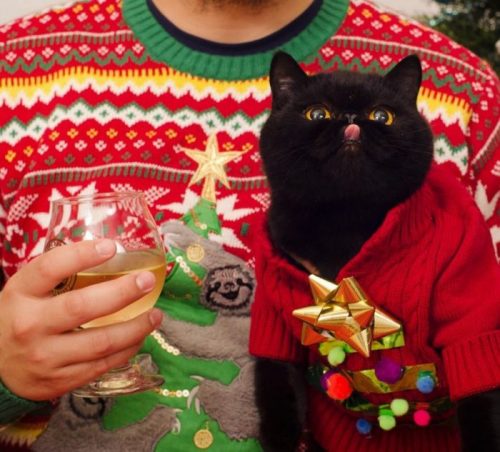 Catmas sweater kitty